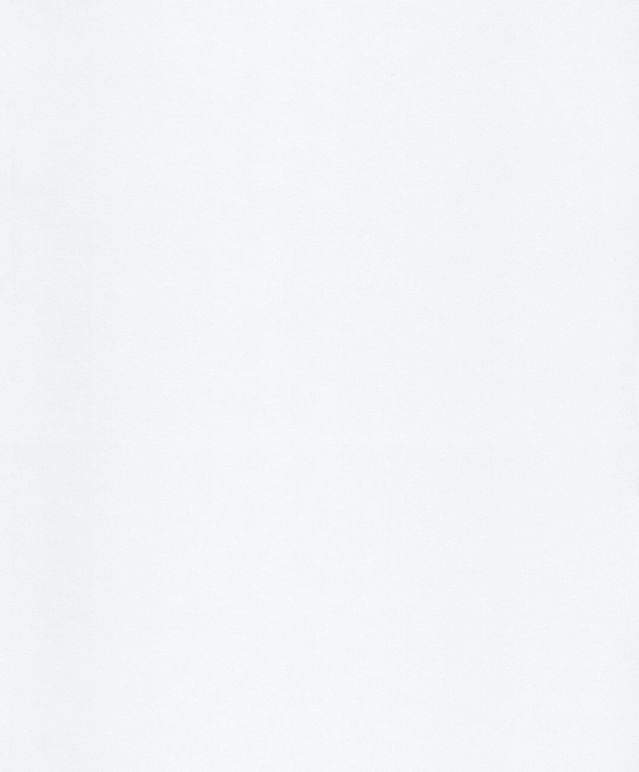 GAIO-HUG201-ZOOM-LOTUS-WALLPAPER