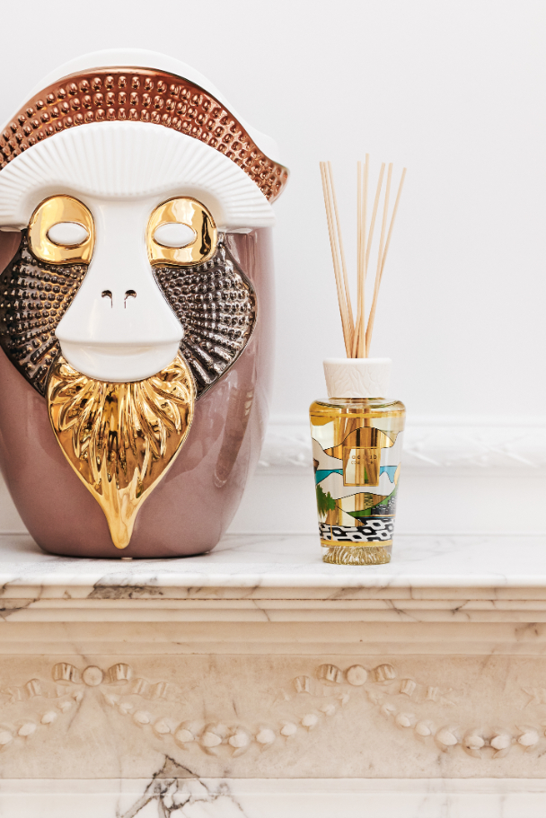 DIFFUSER-MY-FIRST-BAOBAB-RIO-BB250-MLMFBR-MYFIRSTBAOBAB-BAOBABCOLLECTION-DIFFUSERS