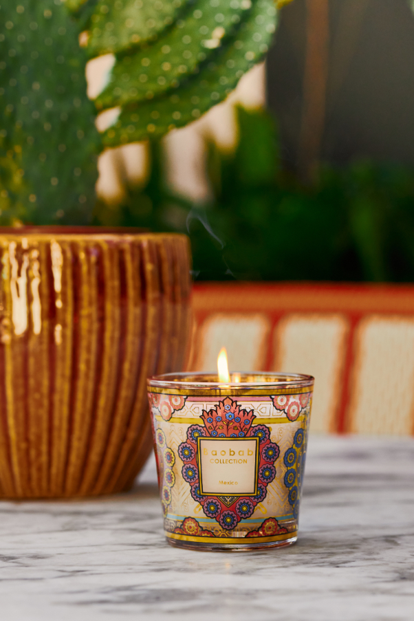 SCENTED CANDLE MY FIRST BAOBAB MEXICO BBMAX08 MFBM MYFIRSTBAOBAB BAOBABCOLLECTION CANDLES