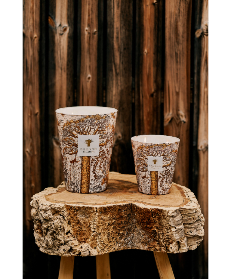 SCENTED CANDLE SACRED TREES DUALLA