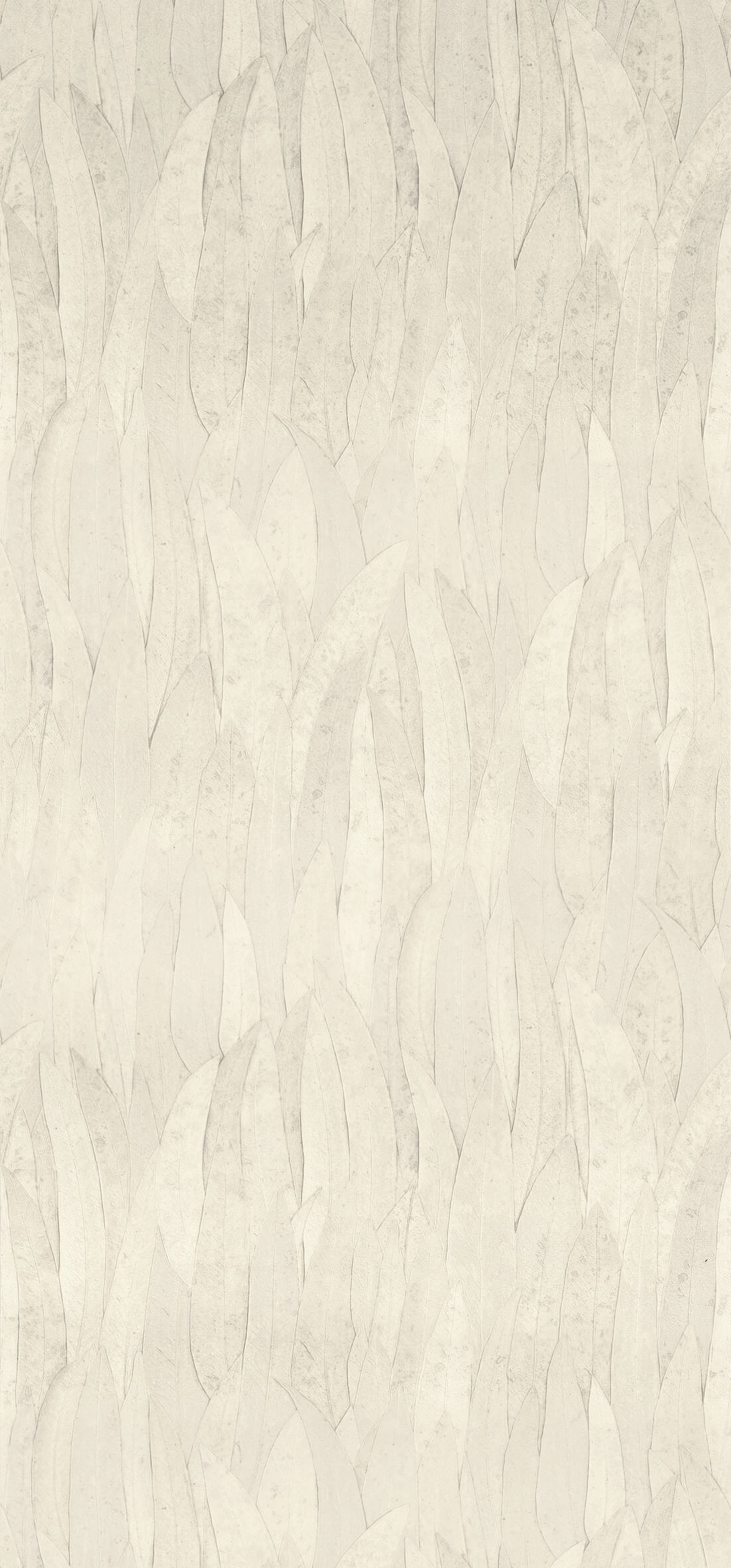 Cream, White